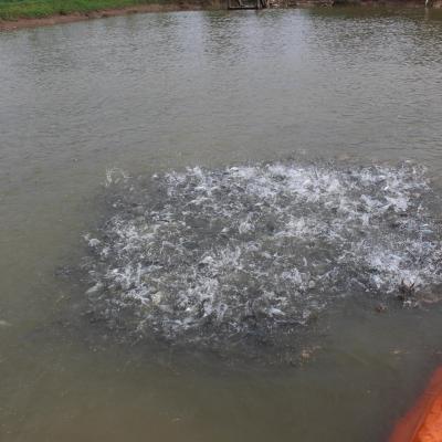 Xây dựng trường học 3