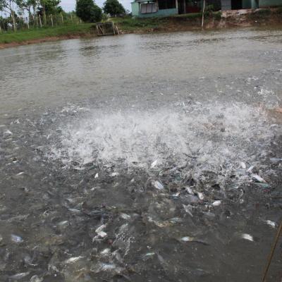 Xây dựng trường học 2