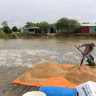 Xây dựng trường học 1